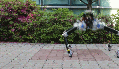 15680830323971.gif