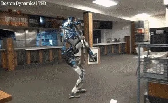 1637203949929409.jpg