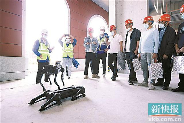 AI门禁守门 机器狗巡逻 广州这个工地很“聪明”